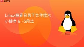 linux查看目录下文件按大小排序 ls -s用法