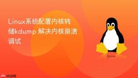 Linux系统配置内核转储kdump 解决内核崩溃调试