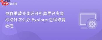电脑重装系统后开机黑屏只有鼠标指针怎么办 Explorer进程修复教程