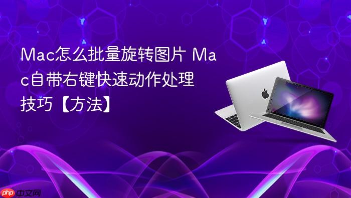 mac怎么批量旋转图片 mac自带右键快速动作处理技巧【方法】