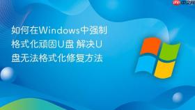 如何在windows中强制格式化顽固u盘 解决u盘无法格式化修复方法