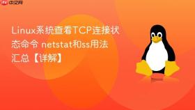 linux系统查看tcp连接状态命令 netstat和ss用法汇总【详解】