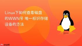 linux下如何查看磁盘的wwn号 唯一标识存储设备的方法