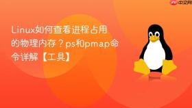 linux如何查看进程占用的物理内存?ps和pmap命令详解【工具】