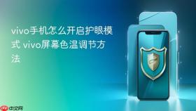 vivo手机怎么开启护眼模式 vivo屏幕色温调节方法