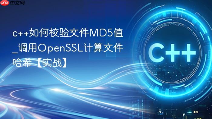 c++如何校验文件md5值_调用openssl计算文件哈希【实战】