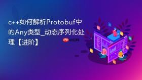 c++如何解析protobuf中的any类型_动态序列化处理【进阶】