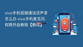 vivo手机视频通话没声音怎么办 vivo手机麦克风权限开启教程【教程】