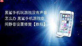 黑鲨手机玩游戏没有声音怎么办 黑鲨手机游戏空间静音设置修复【教程】