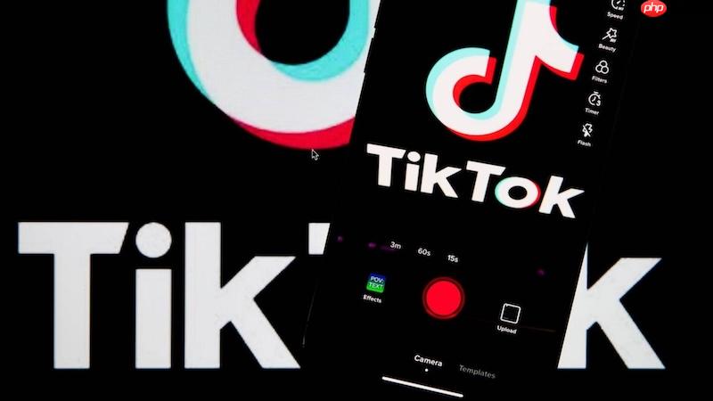 tiktok去水印下载软件推荐 5款免费好用的tiktok下载器【测评】