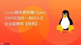 Linux服务器搭建OpenLDAP实现统一身份认证 企业级教程【指南】