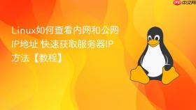 Linux如何查看内网和公网IP地址 快速获取服务器IP方法【教程】