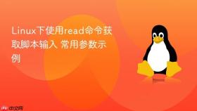 linux下使用read命令获取脚本输入 常用参数示例