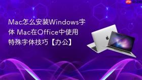 Mac怎么安装Windows字体 Mac在Office中使用特殊字体技巧【办公】
