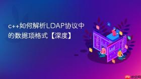 c++如何解析ldap协议中的数据项格式【深度】