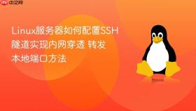 linux服务器如何配置ssh隧道实现内网穿透 转发本地端口方法