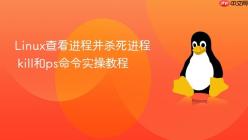 Linux查看进程并杀死进程 kill和ps命令实操教程