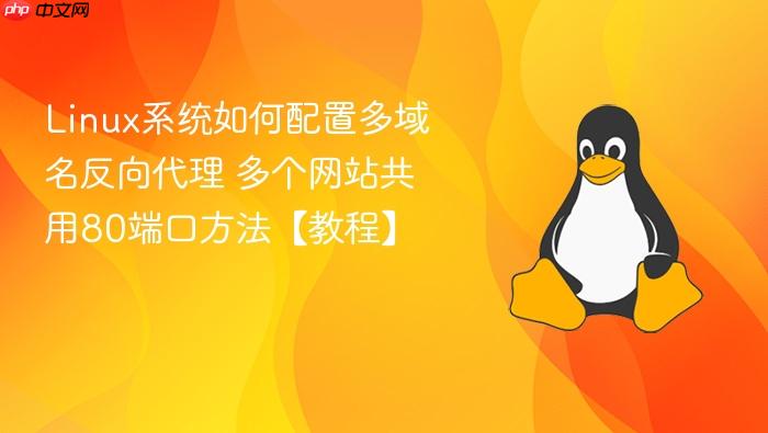 linux系统如何配置多域名反向代理 多个网站共用80端口方法【教程】