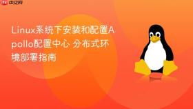 linux系统下安装和配置apollo配置中心 分布式环境部署指南