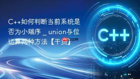 c++如何判断当前系统是否为小端序 _ union与位运算两种方法【干货】