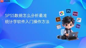 SPSS数据怎么分析最准 统计学软件入门操作方法