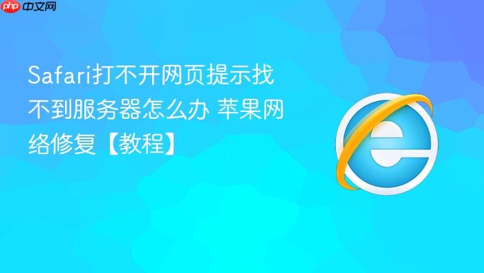 safari打不开网页提示找不到服务器怎么办 苹果网络修复【教程】