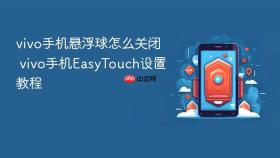 vivo手机悬浮球怎么关闭 vivo手机easytouch设置教程