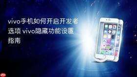 vivo手机如何开启开发者选项 vivo隐藏功能设置指南