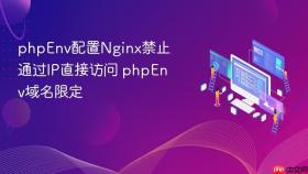 phpEnv配置Nginx禁止通过IP直接访问 phpEnv域名限定