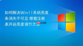 如何解决Win11系统亮度条消失不可见 修复注册表开启亮度调节方法