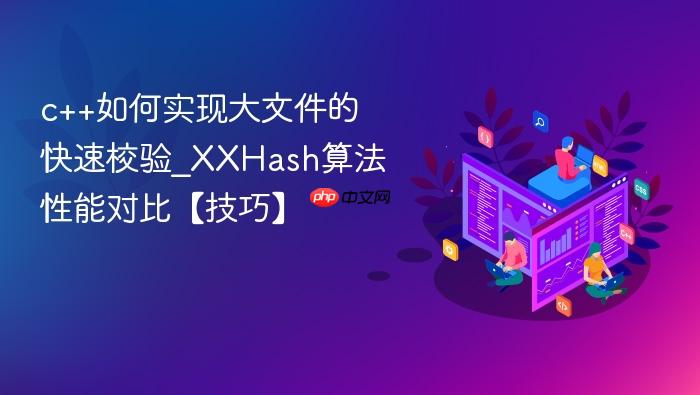 c++如何实现大文件的快速校验_xxhash算法性能对比【技巧】