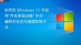如何在 windows 11 中启用“开发者驱动器” 针对编程开发优化磁盘性能方法