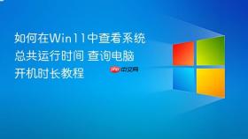 如何在Win11中查看系统总共运行时间 查询电脑开机时长教程