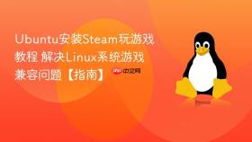ubuntu安装steam玩游戏教程 解决linux系统游戏兼容问题【指南】