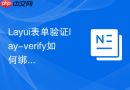 Layui表单验证lay-verify如何绑定多个正则校验规则