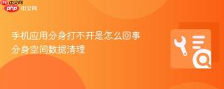 手机应用分身打不开是怎么回事 分身空间数据清理