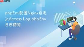phpEnv配置Nginx自定义Access Log phpEnv日志精简