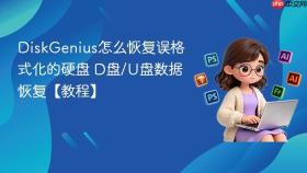 DiskGenius怎么恢复误格式化的硬盘 D盘/U盘数据恢复【教程】
