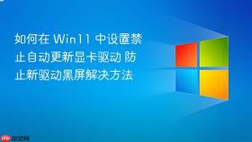 如何在 win11 中设置禁止自动更新显卡驱动 防止新驱动黑屏解决方法
