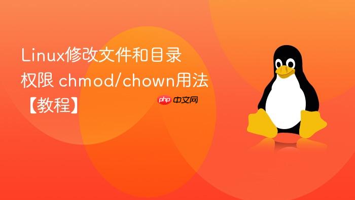 linux修改文件和目录权限 chmod/chown用法【教程】