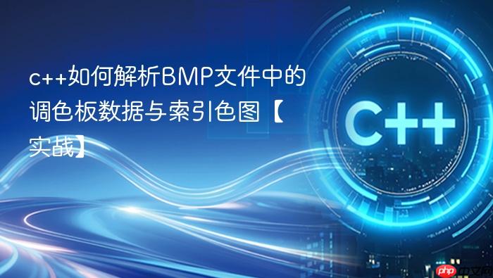 c++如何解析bmp文件中的调色板数据与索引色图【实战】