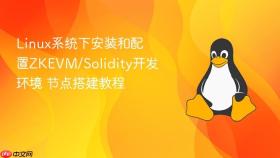 linux系统下安装和配置zkevm/solidity开发环境 节点搭建教程
