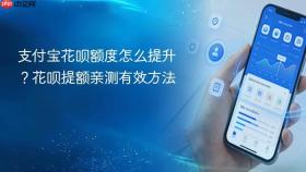 支付宝花呗额度怎么提升？花呗提额亲测有效方法