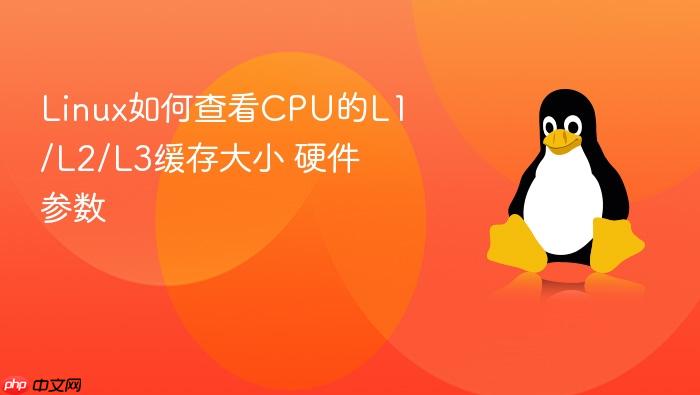 linux如何查看cpu的l1/l2/l3缓存大小 硬件参数