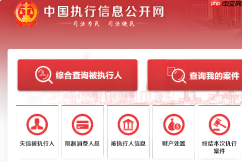 手机端中国执行信息公开网官网入口 手机官网进入查询方法