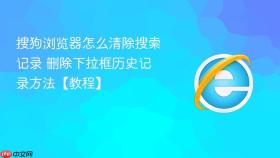 搜狗浏览器怎么清除搜索记录 删除下拉框历史记录方法【教程】