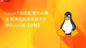 Linux下如何配置IPv6隧道 解决旧版服务器不支持IPv6问题【详解】