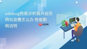 xdebug性能分析器开启后网站变慢怎么办 性能影响说明