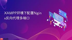 xampp环境下配置nginx反向代理多端口