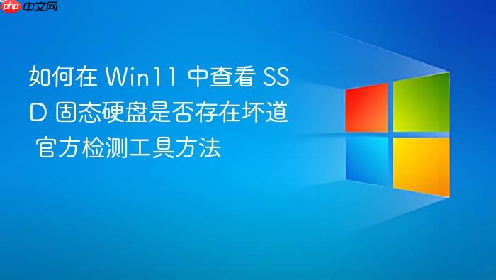 如何在 win11 中查看 ssd 固态硬盘是否存在坏道 官方检测工具方法
